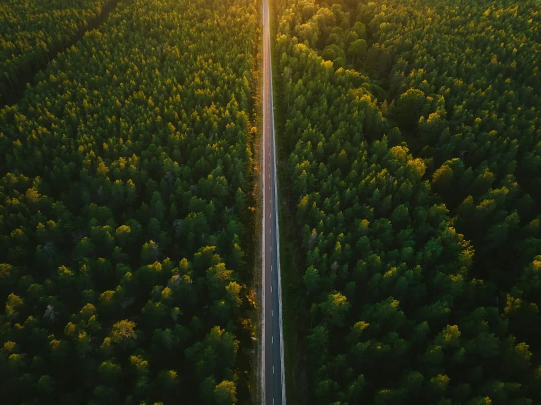 How Intermarium Supported a Leading UK Timber Supplier with International Expansion and Compliance