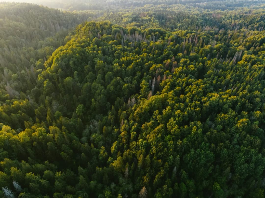 How Intermarium Discovered the Ideal Solution for the Client’s Business
